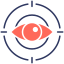 vision-icon